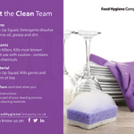 meet the clean team
