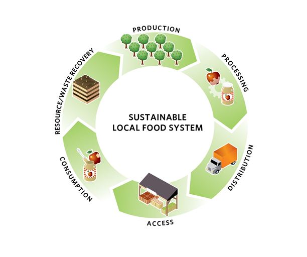 sustainable food system
