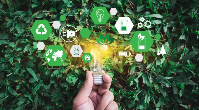 A 'lightbulb moment' shows the flow of new ideas for sustainable food practice.