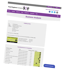Business Analysis Report