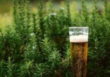 This photo shows a beer standing in a beer garden.
