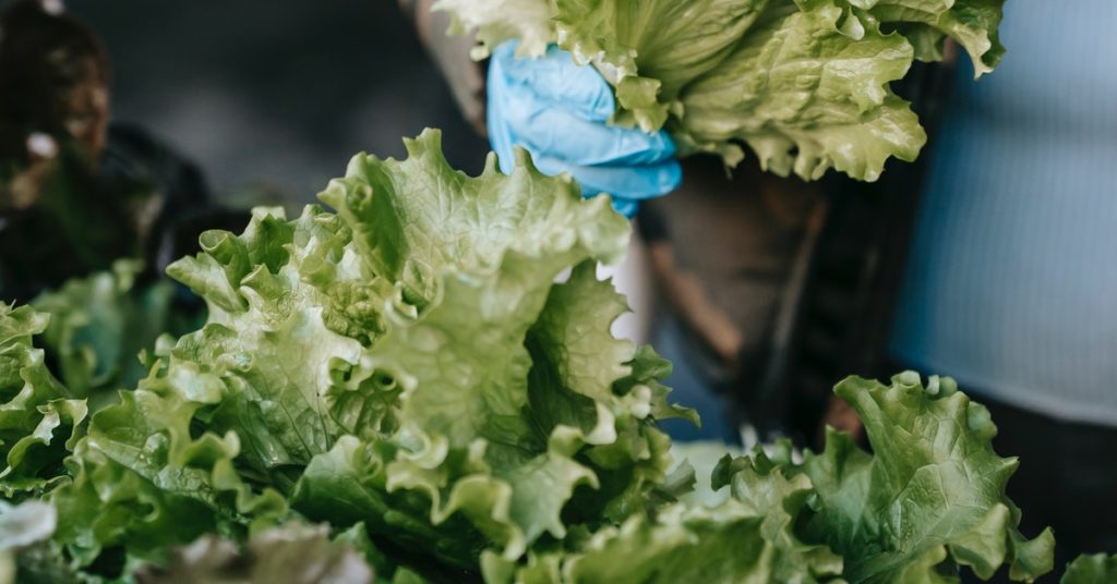 food hygiene in nurseries