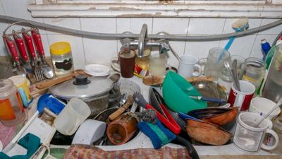 Unclean kitchen leading high risk foods