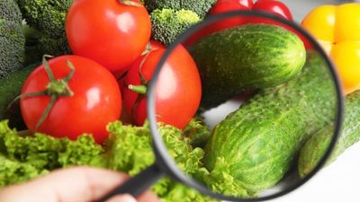 Veg with a magnifying glass to identify if the food is high risk