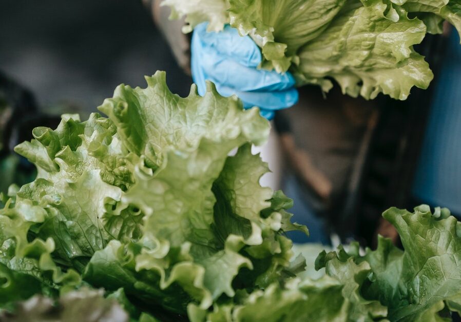 food hygiene in nurseries